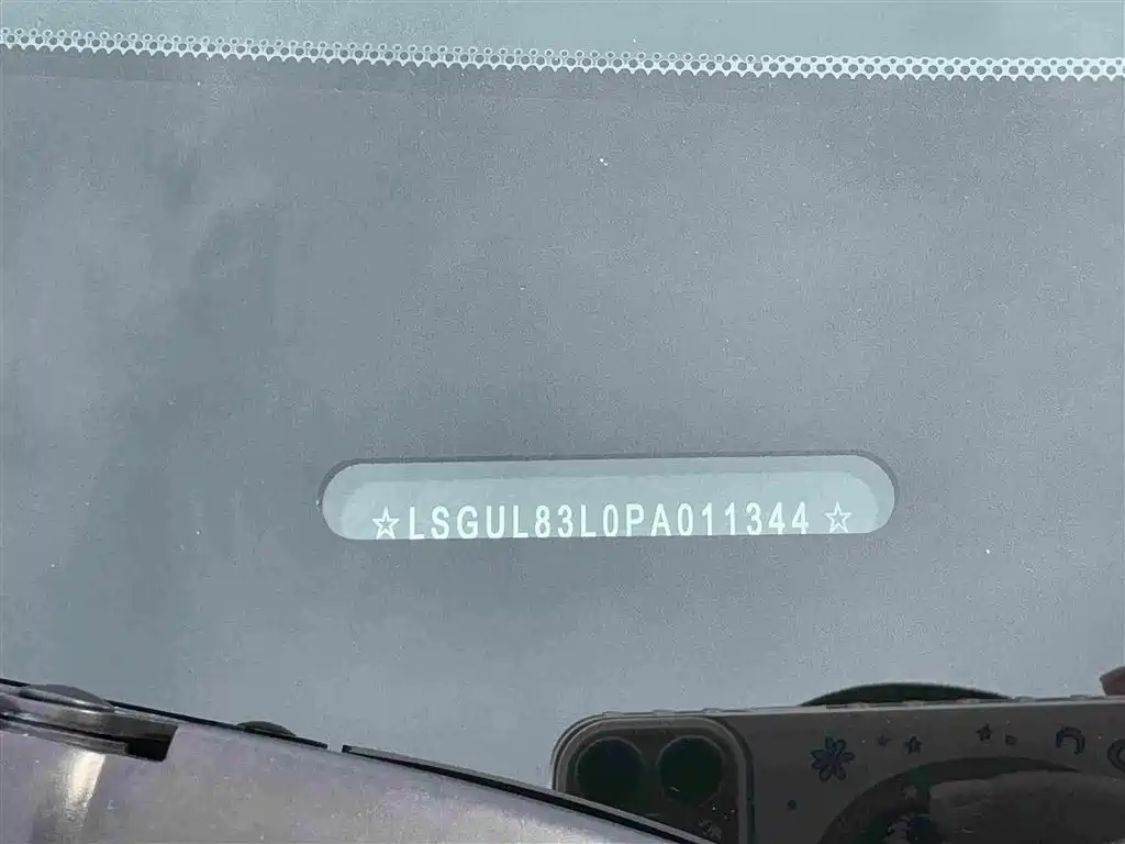 Buick GL8 — миниатюра 32