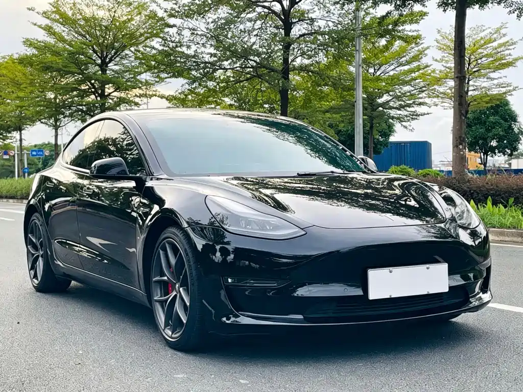 Tesla Model 3 — миниатюра 3