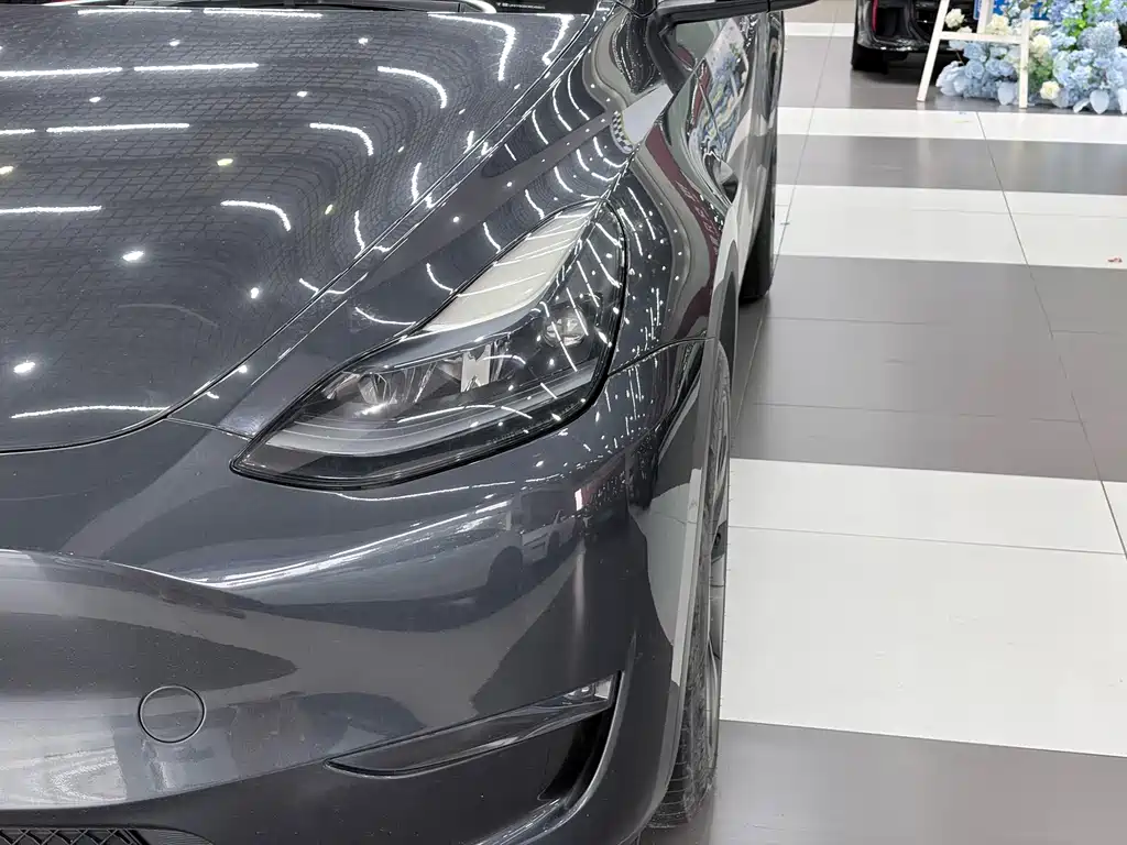 Tesla Model Y — миниатюра 7