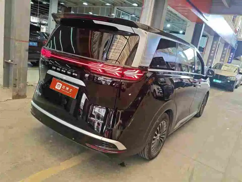 Denza Denza D9 — миниатюра 6