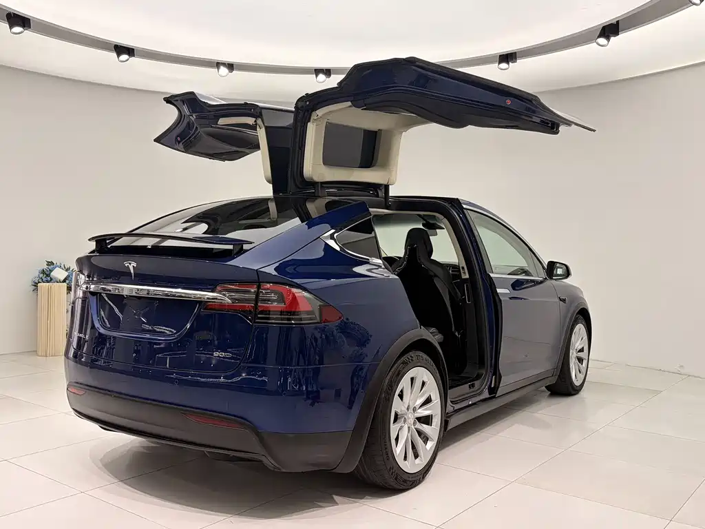 TESLA MODEL X
