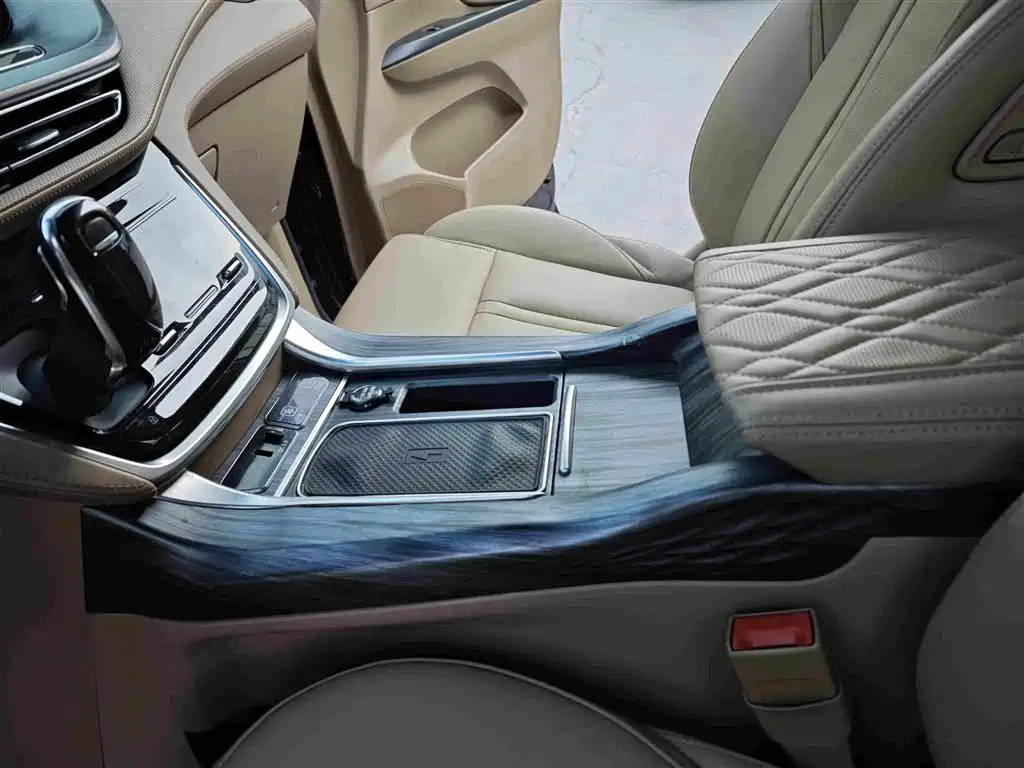 Buick GL8 — миниатюра 14
