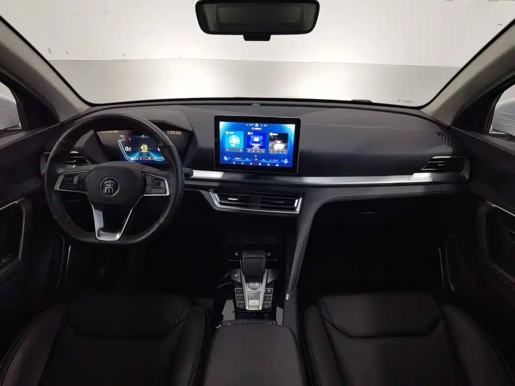 BYD Pro — миниатюра 5