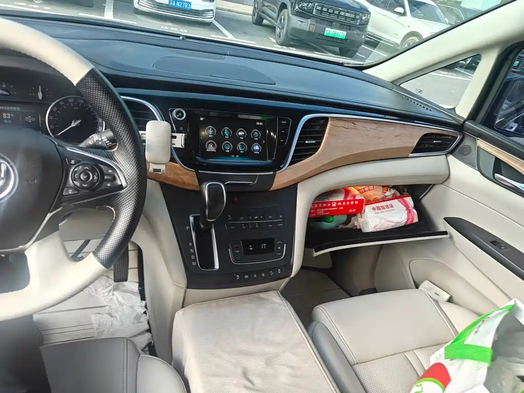 Buick GL8 — миниатюра 8