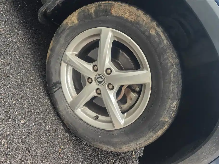 DONGFENG SCENERY 500