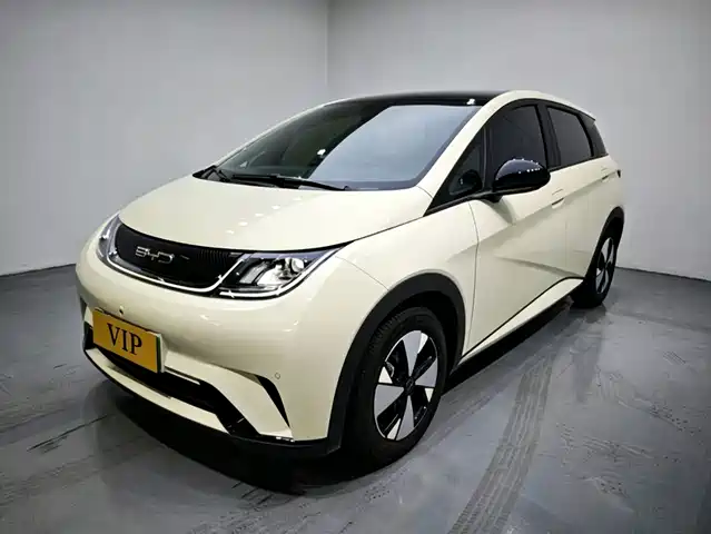 2024 BYD Dolphin