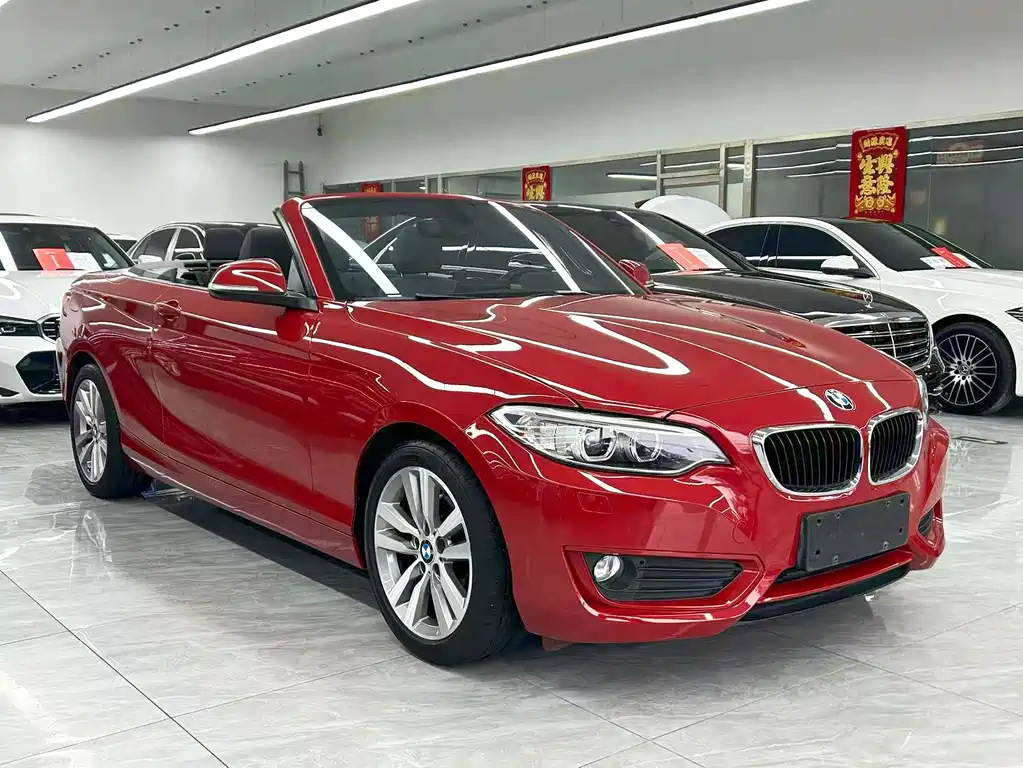 BMW 2 Series (Import) — миниатюра 9