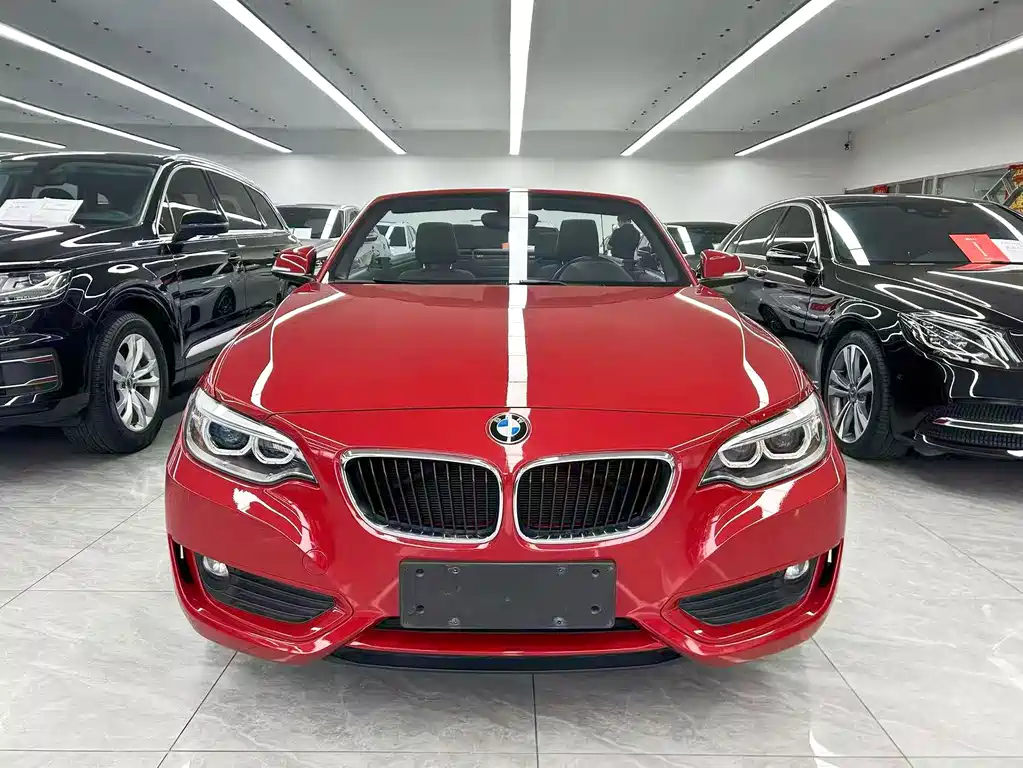 BMW 2 Series (Import) — миниатюра 8