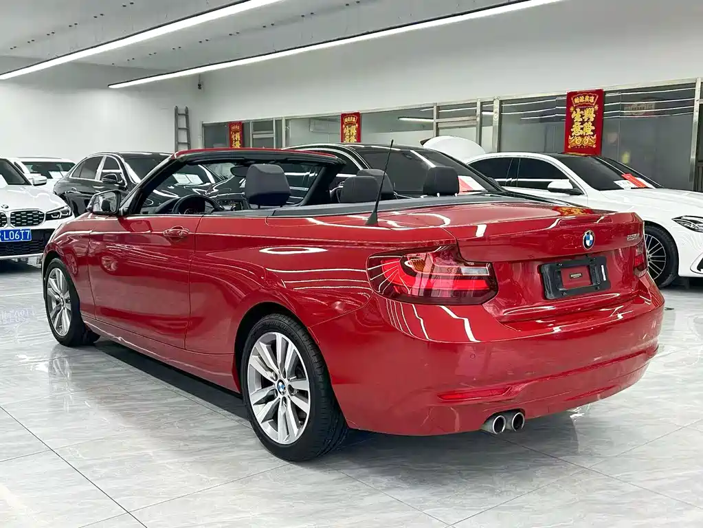 BMW 2 Series (Import) — миниатюра 12