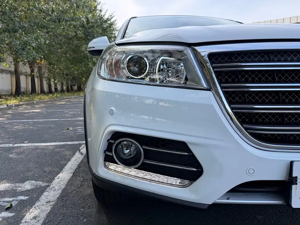 Haval H6 — миниатюра 16