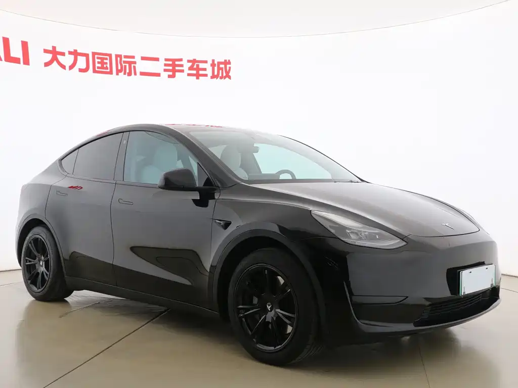 Tesla Model Y — миниатюра 3