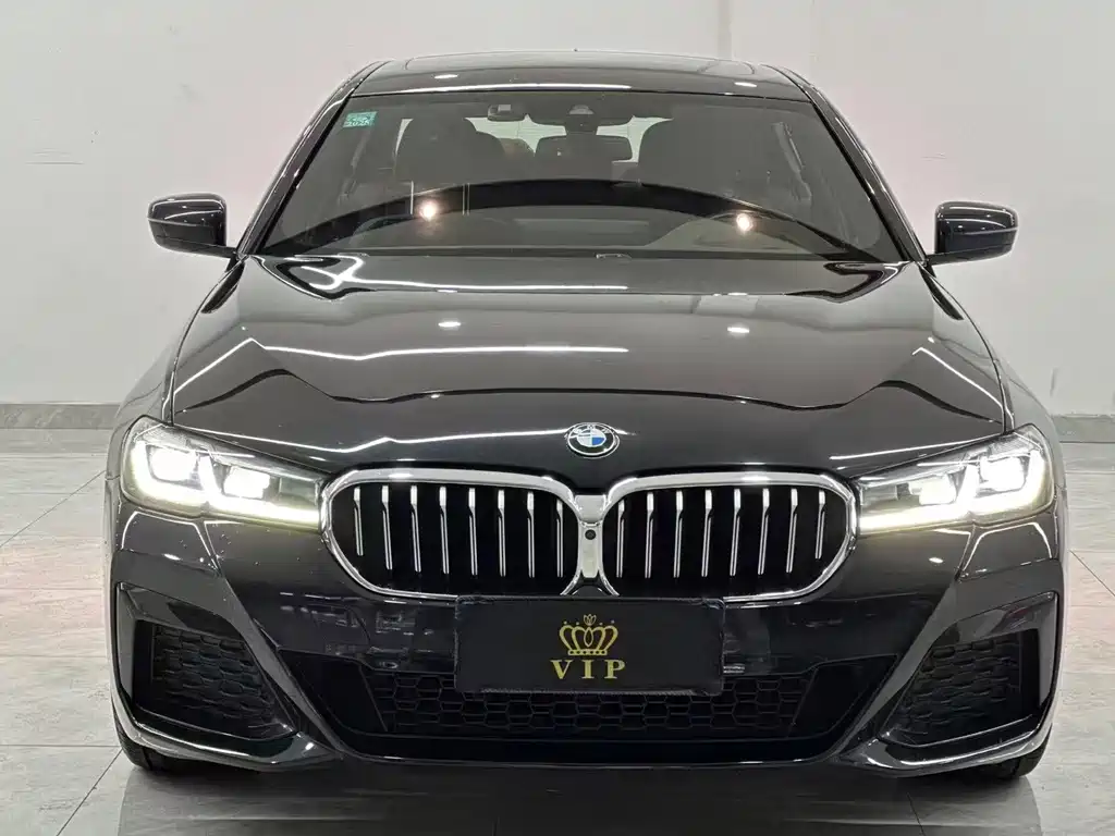 BMW 5 Series — миниатюра 2