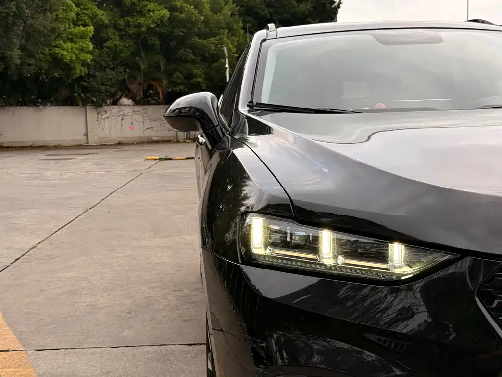 WEI PAI WEI BRAND VV7