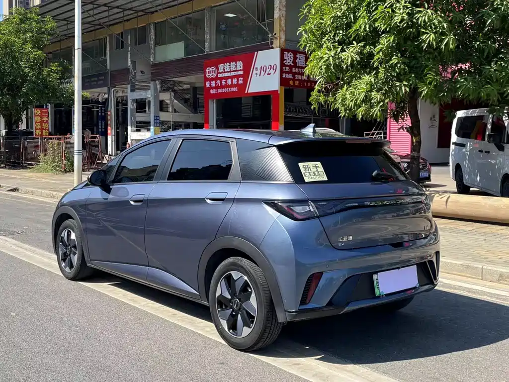 BYD Dolphin — миниатюра 6