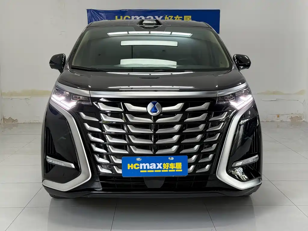 Denza Denza D9 — миниатюра 2