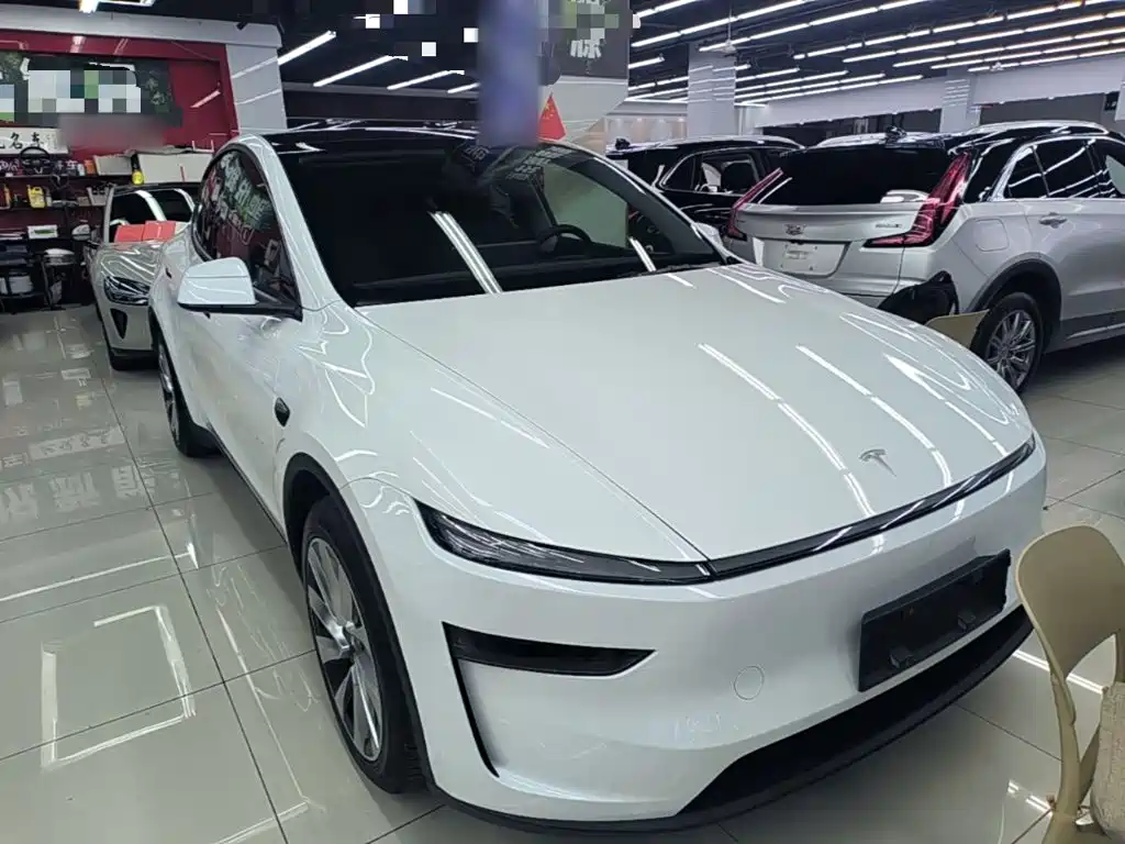 Tesla Model Y — миниатюра 4