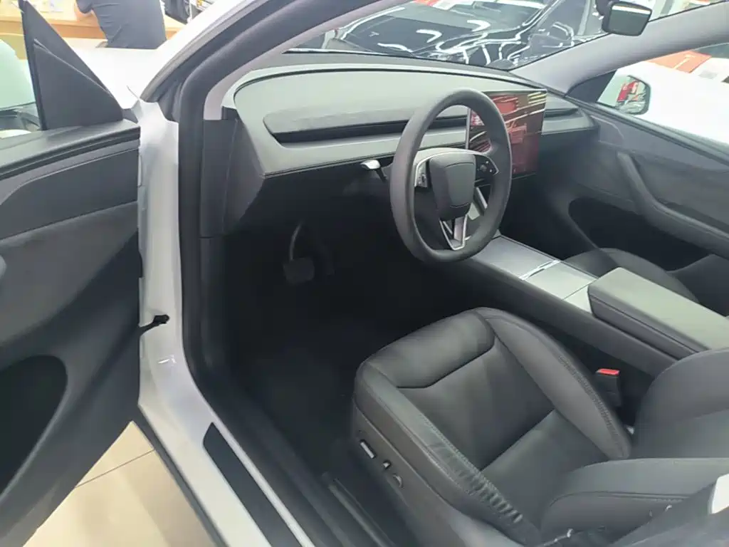 Tesla Model Y — миниатюра 16