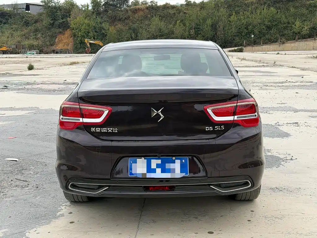 DS DS 5LS — миниатюра 4