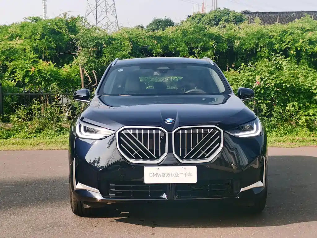 BMW X3 xDrive30L Leading Type M Sport Package, фото 7