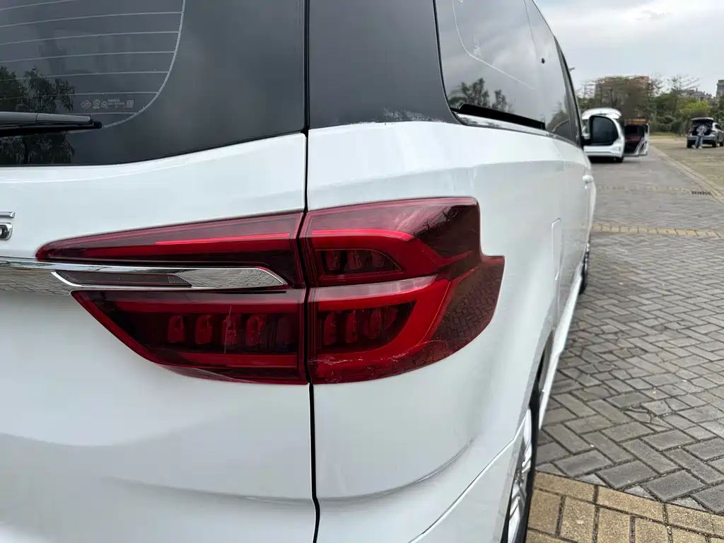 SAIC MAXUS CHASE G20