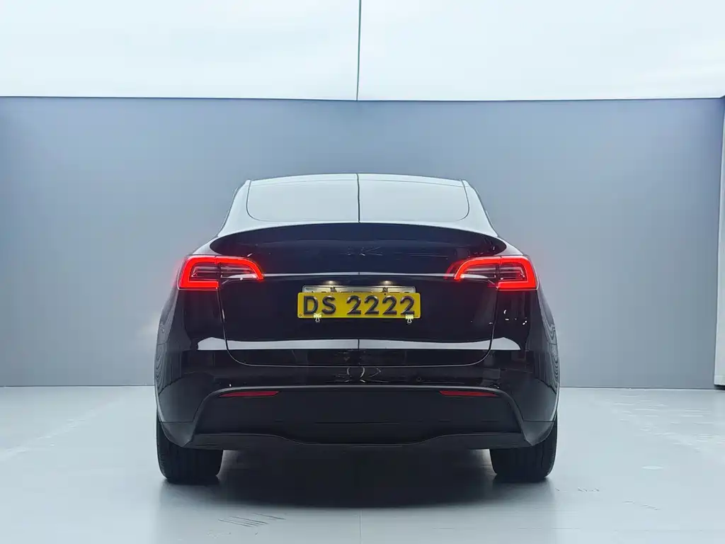 Tesla Model Y — миниатюра 2