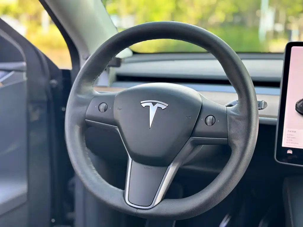 Tesla Model Y — миниатюра 15