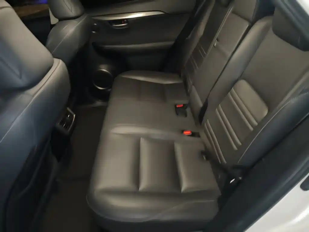 Lexus NX — миниатюра 14