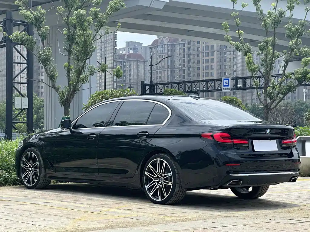 BMW 5 Series New Energy 535Le Luxury Package, фото 5