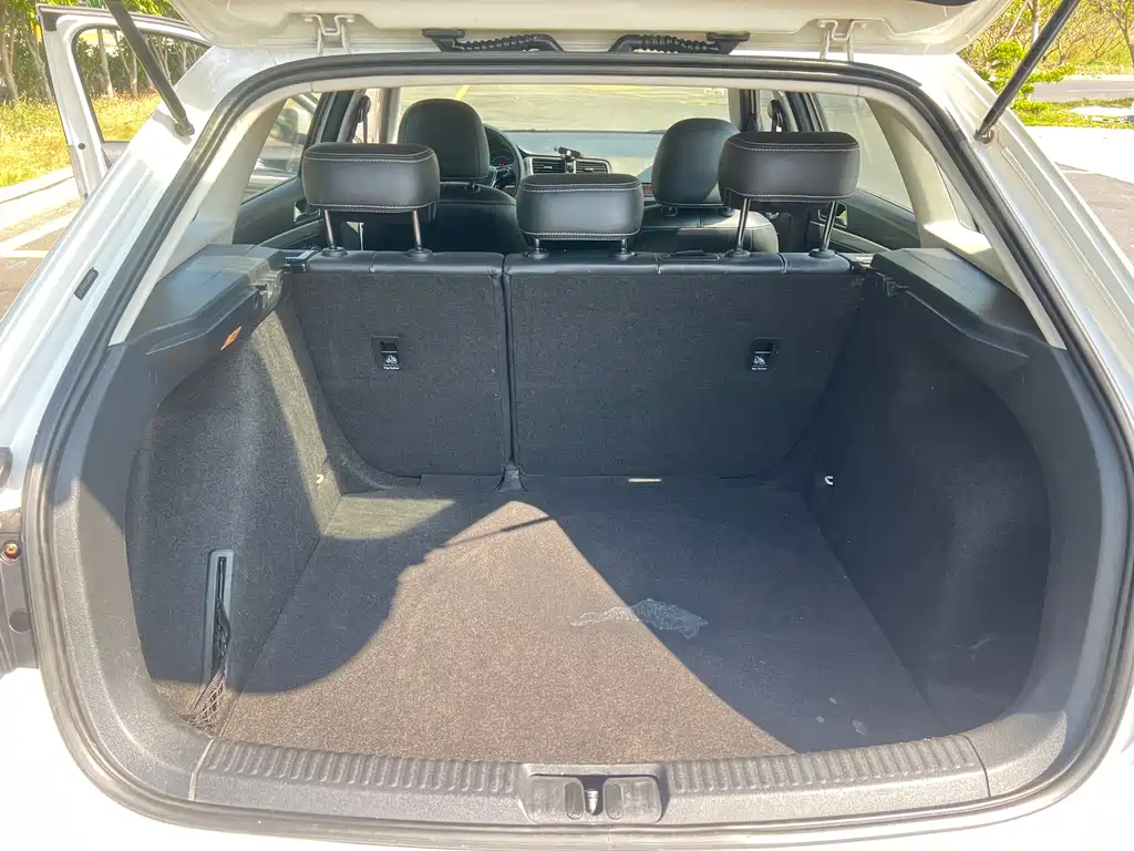 Volkswagen Gran Lavida — миниатюра 18