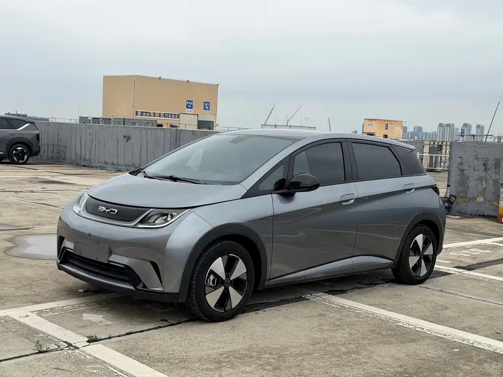 2023 BYD Dolphin - zdjęcie 1 z 9