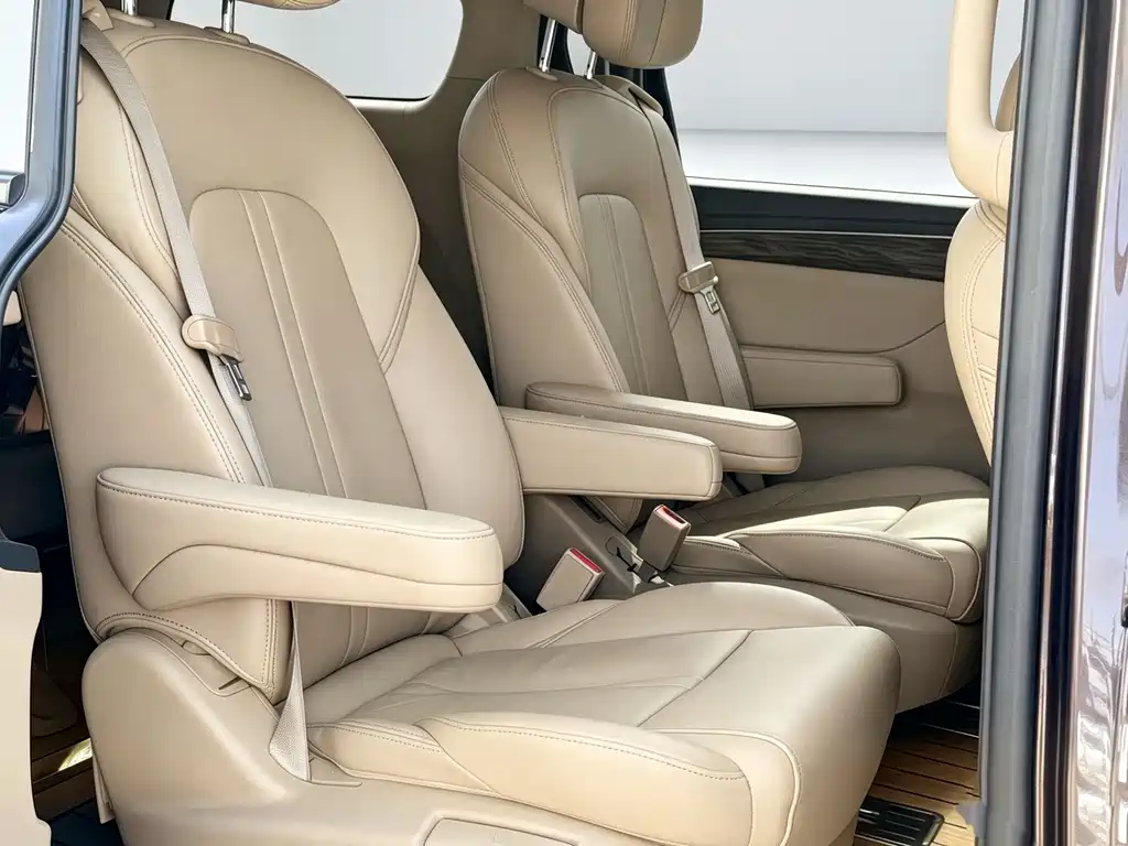 Buick GL8 — миниатюра 11