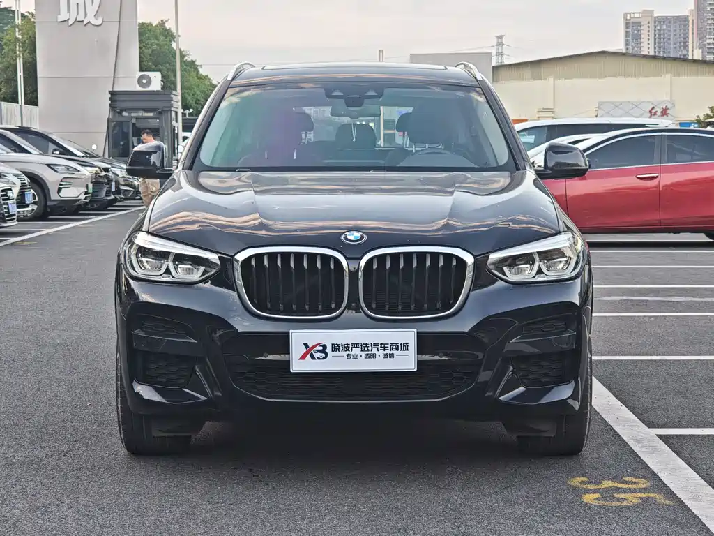 BMW X3 — миниатюра 2