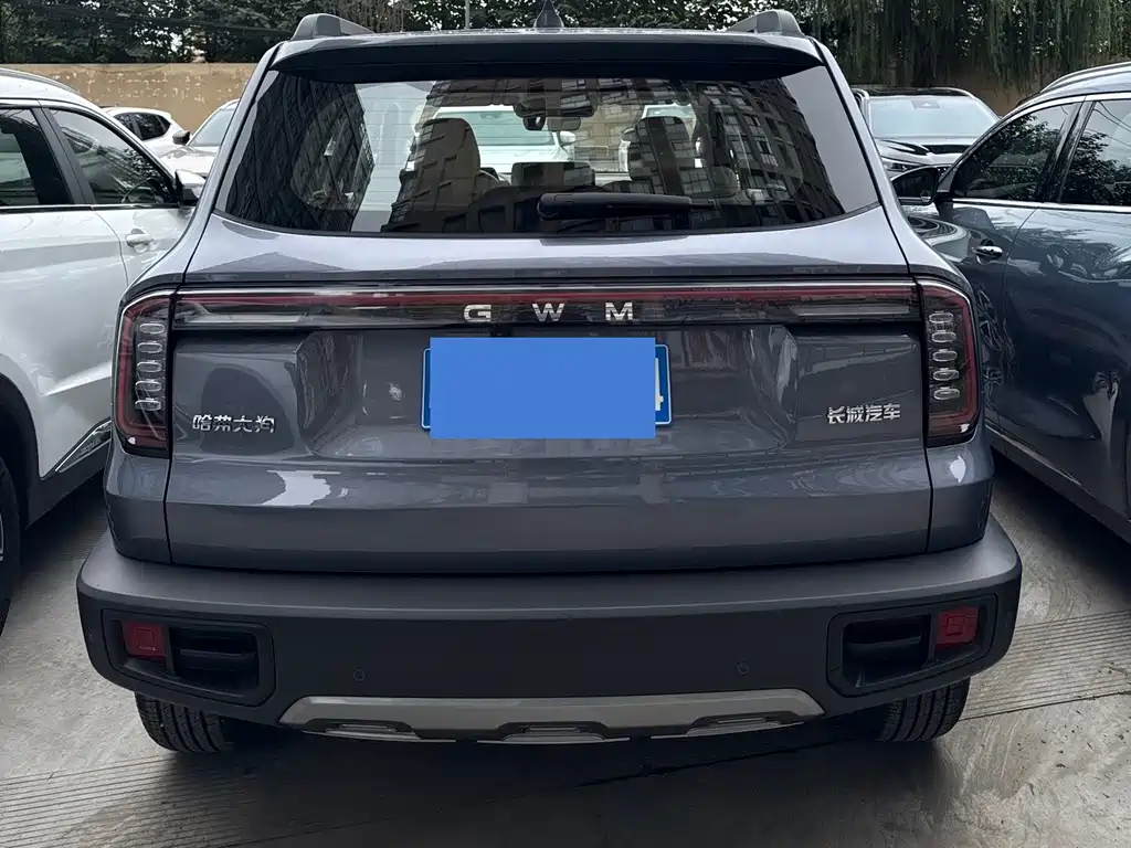 Haval Big Dog — миниатюра 14