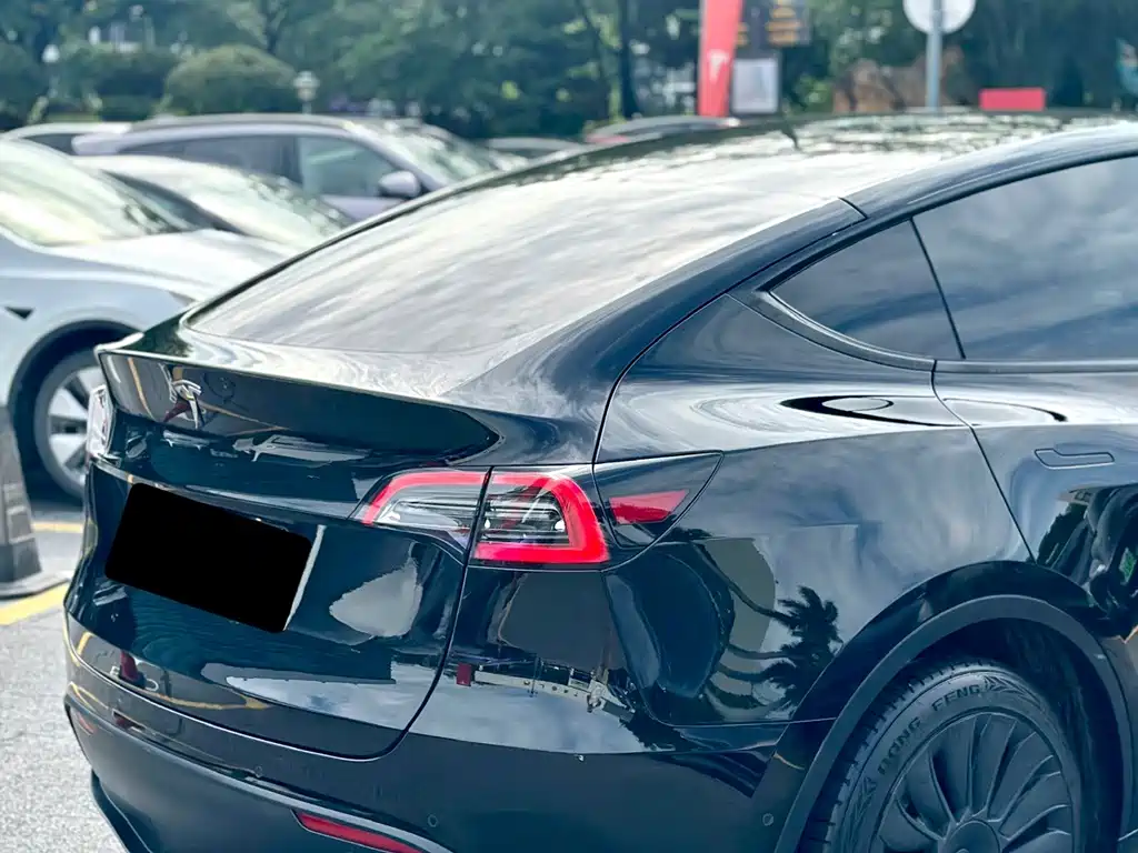 Tesla Model Y — миниатюра 18