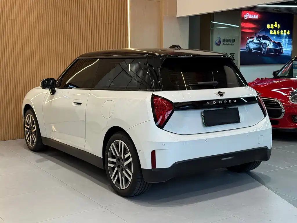 MINI MINI ACEMAN EV — миниатюра 19