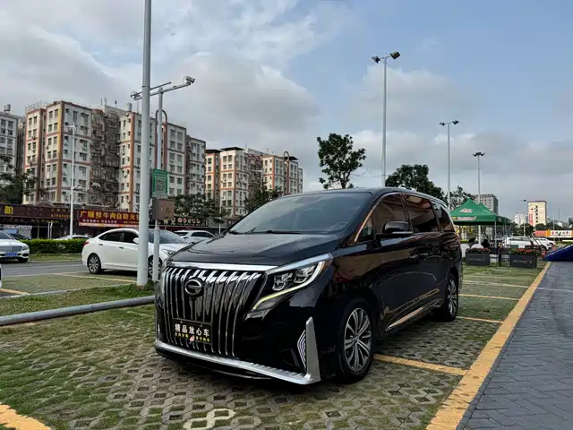 2019 GAC GN8