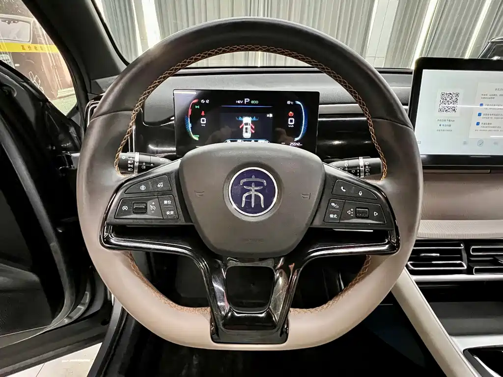 BYD Pro New Energy — миниатюра 11