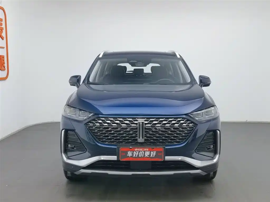 WEI PAI WEI BRAND LATTE DHT PHEV