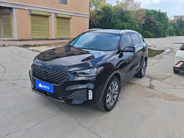 2020 Wey VV6