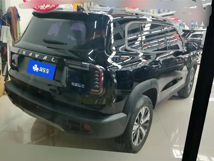 HAVAL BIG DOG