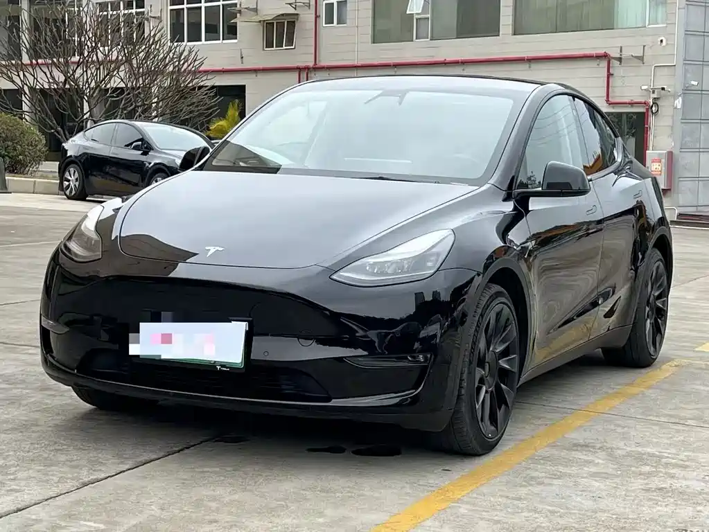Tesla Model Y — миниатюра 2