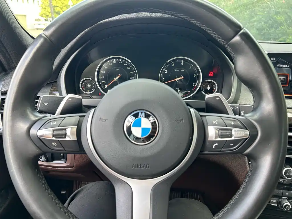 BMW X5 (Import) — миниатюра 10
