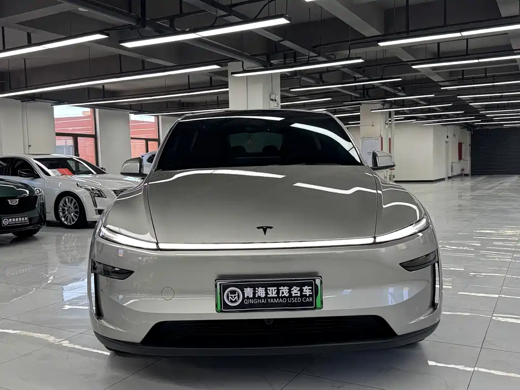 Tesla Model Y L — миниатюра 2