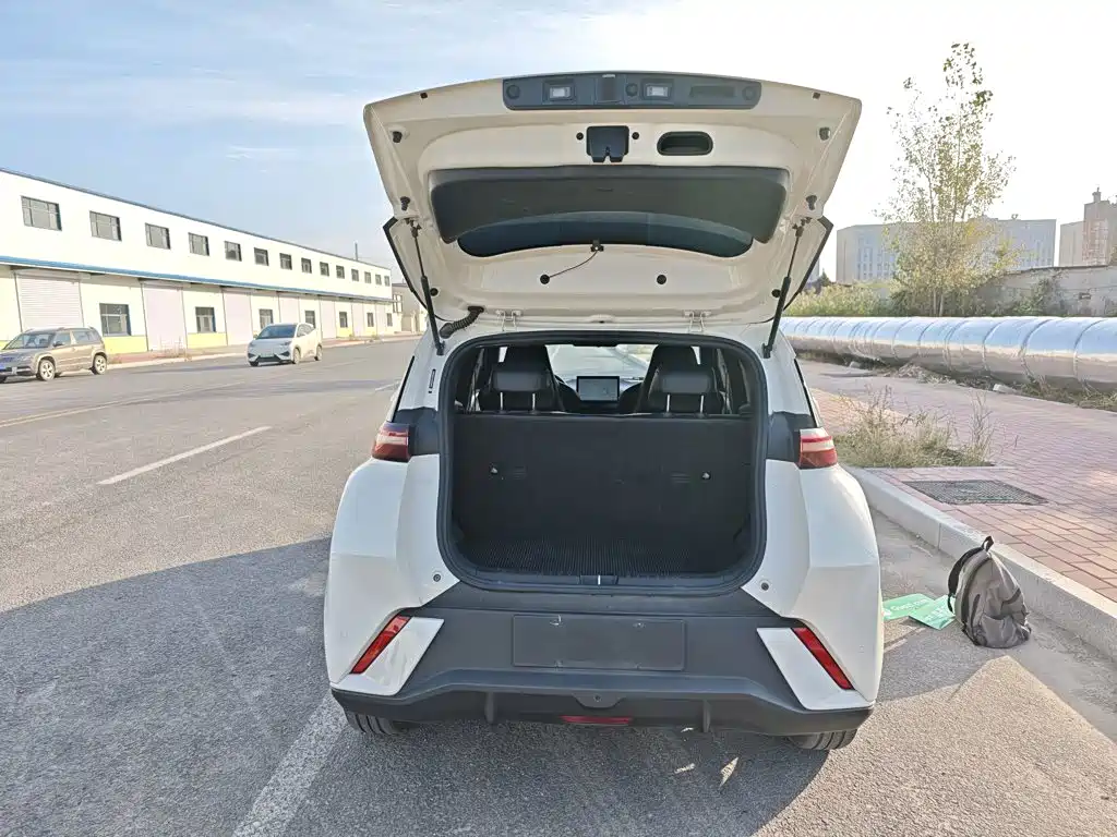 BYD Seagull — миниатюра 19