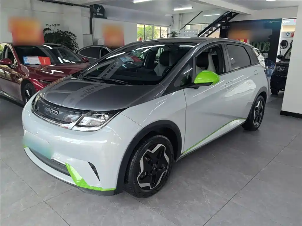 Byd Dolphin 2021