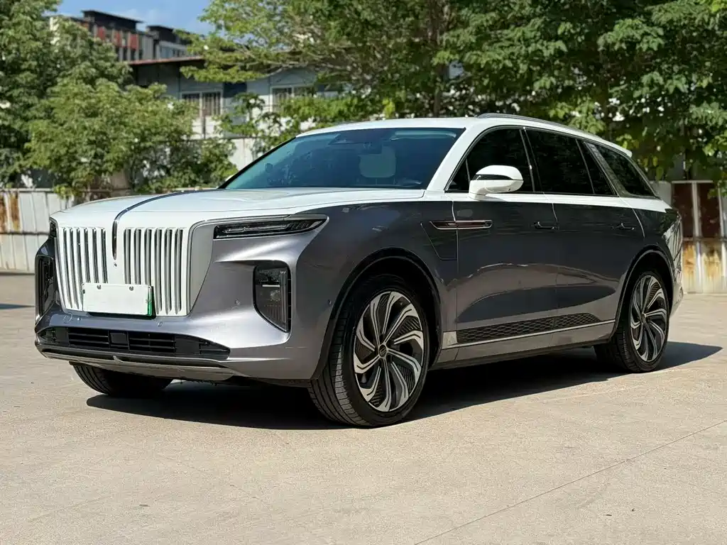 2021 Hongqi E-HS9 - zdjęcie 1 z 9