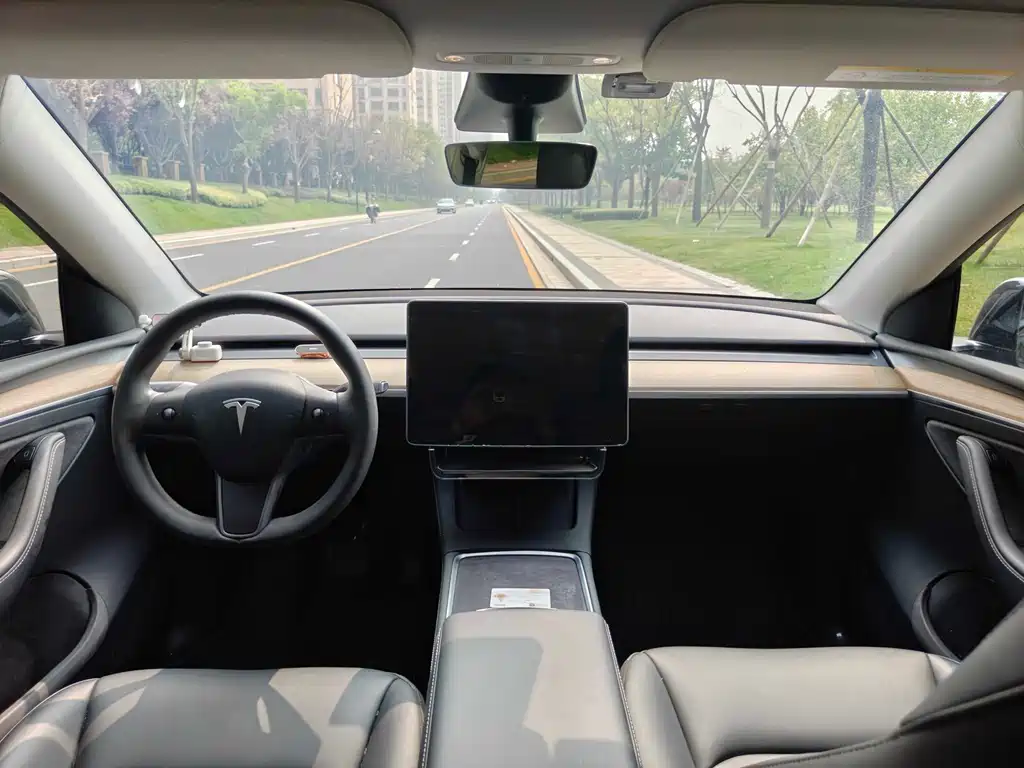 Tesla Model Y — миниатюра 11
