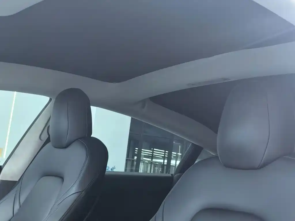 Tesla Model 3 — миниатюра 8