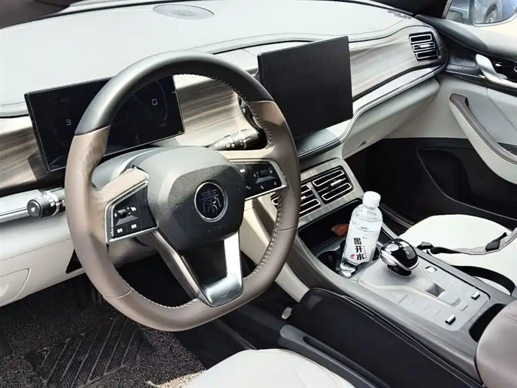 BYD Qin Plus PLUS 2024 DM-i 55KM Lead