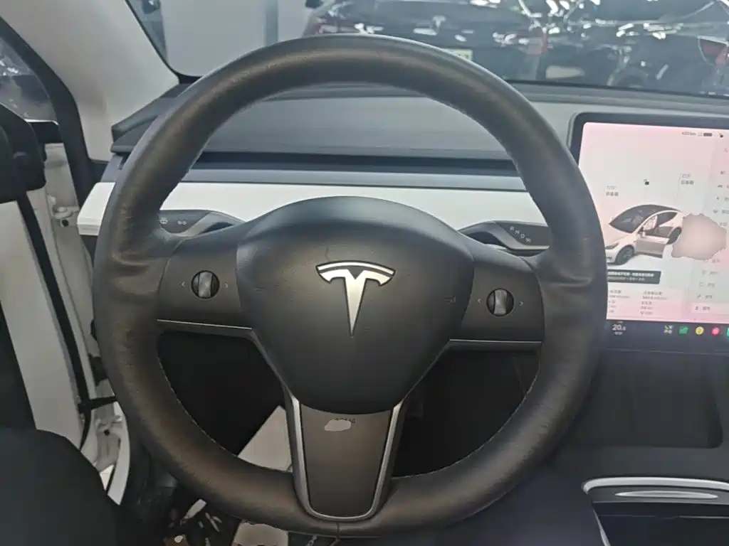 Tesla Model Y — миниатюра 11